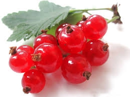 RED%20BERRY%20125%20GR.